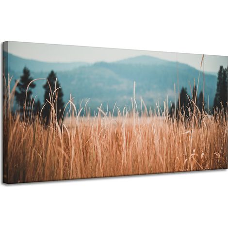 Tableau sur toile Nature Brins d'herbe 120x60 cm Montagnes