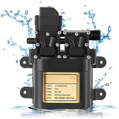 Pompe à eau portable à double moteur 12 V avec membrane et pressostat intégré. Pression : 1,1 MPa. Débit : 8 l/min. Idéale pour le lavage de voiture, les camping-cars, l'agriculture et l'arrosage de j (1/5)