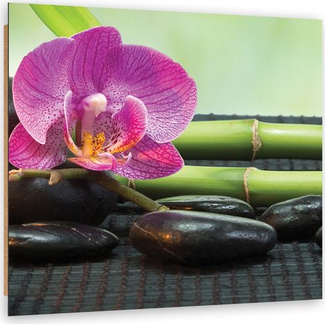 Quadro deco panel, Orchidea su pietre nere - 30x30 (1/5)