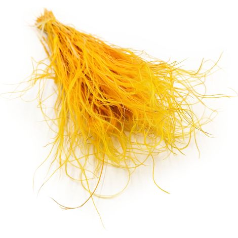 Stipa seca - Stipa pennata - Jengibre