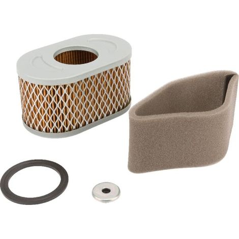 Filtre à air BRIGGS ET STRATTON 797033