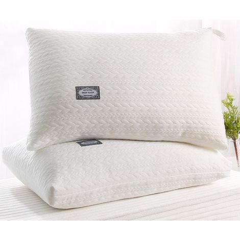 Oreiller - Mousse à mémoire de forme et plume de duvet - Pour dormeurs dorsaux latéraux ou ventraux - 45 x 70 cm - 1 pièce (1/5)