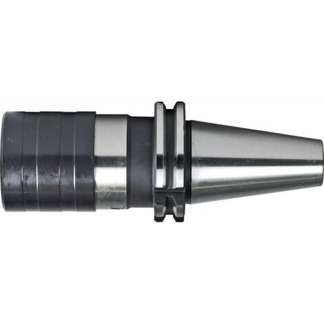 Cambio Rapido Del Mandrino 69871A M6-20 Fortis (1/5)