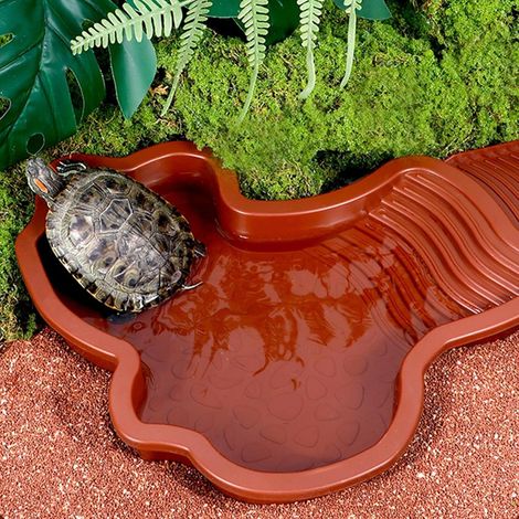 Mangiatoia e abbeveratoio per tartarughe con rampa e scaletta, perfetto per rettili in terrario - ALTRO