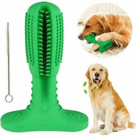 Giocattolo spazzolino per cani, giocattolo da masticare per cani, pulizia dei denti dei cuccioli, bastoncino da masticare in gomma naturale di medie dimensioni - Fei Yu (1/5)