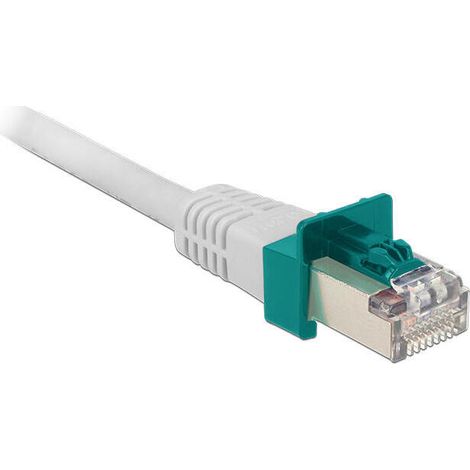 Clip de seguridad RJ45 - DELOCK - Paquete de 40 + llave - Blanco - Interior