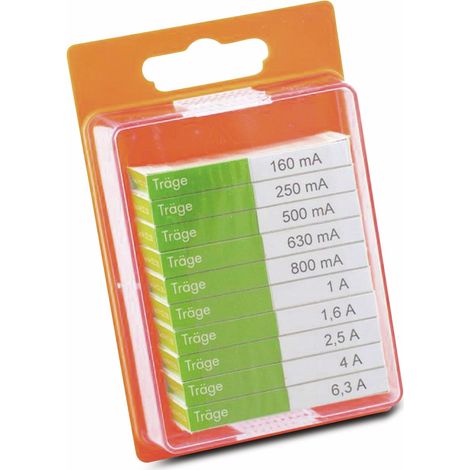 Ensemble de fusibles fins ESKA, 122800, (Ø x L) 5 mm x 20 mm Temporisé -T- Contenu 100 pièces
