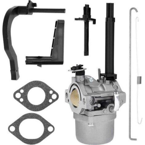 Carburateur adapté aux modèles 591378, 699966, 699958, 796321 et 696132 de souffleuse à neige P25 (1/4)