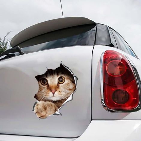 Autocollant Voiture - Chat 3D - PVC - 21x29 cm - Blanc (1/4)