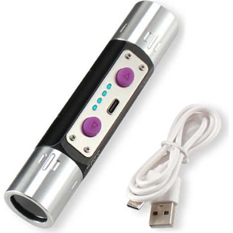 Lampe de Poche Professionnelle pour Pierres précieuses avec lumière UV Double 365 nm et 254 nm, lumière Noire à Charge Rapide de Type C pour l'inspection des minéraux et des devises (1/4)