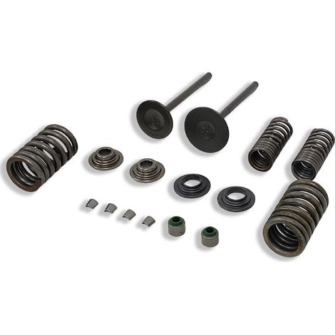 Valve springs for motorcycle engines, suitable for Honda CBF150, XR150, KTT150 and SDH150 valves.
