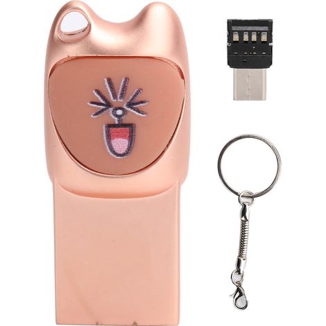 Clé USB Cartoon avec Adaptateur Type-C, Transmission de Données Rapide, Capacité 16G Rose Gold (1/5)