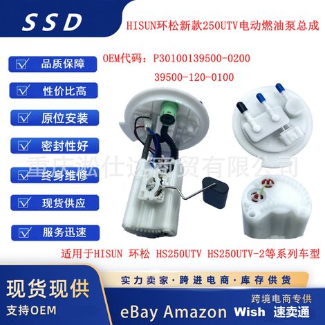 Applicable to the HISUN HS250UTV 39500-120-0100P301001395000200 electric oil pump (1/5)