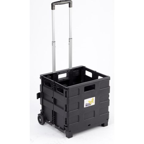 Carrello da Trasporto Pieghevole Max 25 Kg in Alluminio e Plastica Ranieri Nero