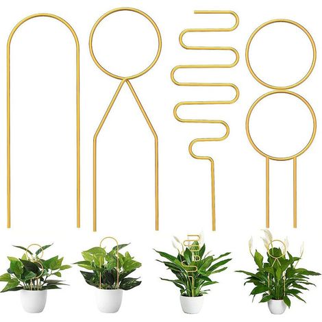 Bardusch Ensemble de 4 tuteurs pour plantes grimpantes d'intérieur, supports métalliques adaptés aux plantes en pot, aux vignes et aux fleurs. (1/4)