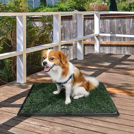 Toilettes pour chiens chiens Toilettes pour chiens Chiens Toilettes pour chiens Toilettes pour chiots lavables avec tapis d'herbe 51x63 cm (1/3)