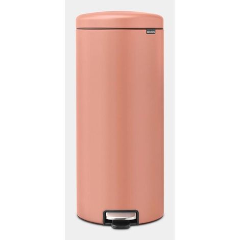Cestino a pedale Brabantia 30 litri acciaio inox chiusura soft (1/3)