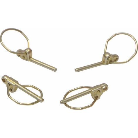 Goupille vis stocker P4 - 3,8 mm (X 4) - FROLING : T012385