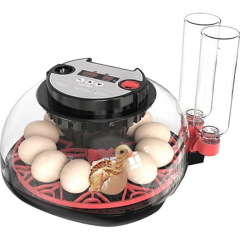 Lampe torche pour incubateur automatique 12 h pour œufs de poule et de caille, affichage de la température et de l'humidité, retournement automatique des œufs, prise UE (1/5)