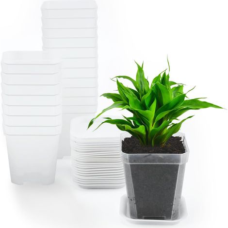 12 Pack 7cm Clear Plastic Square Flower Pots with Trays Small Thick Plant Pots for Nursery, Seedling, Vegetables, Cuttings, Succulents, Cacti and Herbs (1/5)