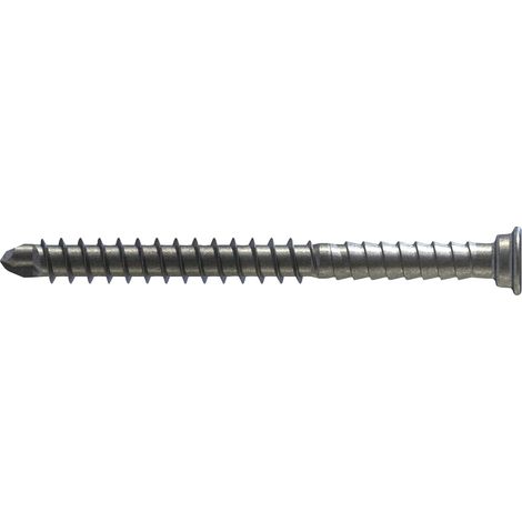 Reisser Terrassenbohrschraube RT5 5,5x70mm Edelstahl A2 mit Bit - Terrassenschrauben für Hartholz - 200 Stück (1/5)