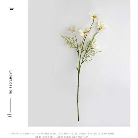 Strauß künstlicher Gänseblümchen und Chrysanthemen, Wohnzimmerdekoration, rustikale Trockenblumen, weiß, Set Zimmerpflanzen (1/3)