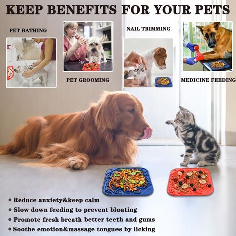 Tapis à lécher en silicone pour chien, avec ventouse, pour une alimentation lente et sans anxiété. (1/5)