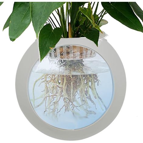 Vase Mural Terrarium Globe Bol Support Tillandsia Station Propagation Vases Muraux Pour s Station de Propagation Globe Bol Aériennes Succulentes Déco Maison Hydroponie (1/5)