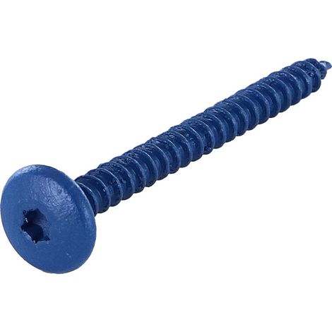Vis Penture 4.5X50 Filetage total TORX T20 Acier zingué LAQ RAL5010-1 pièce