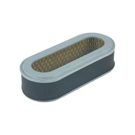 Filtro aria rasaerba AGRIA ROBIN 2400 3400 5400 EH25D AGRIA 707-91
