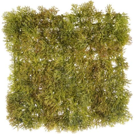 PANNELLO ERBA SINTETICA MUSCHIO VERDE BIZZOTTO 25X25