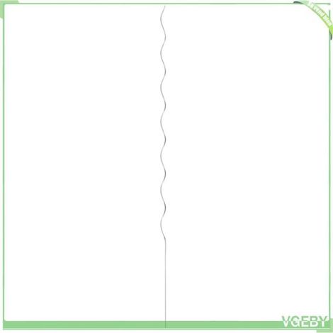 Support de plantes en spirale - FAFEICY - 170 cm - Acier galvanisé - Diam. 6 mm - Pack 20 (1/5)