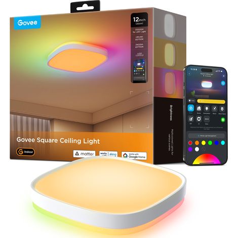 Govee - Square Smart Ceiling Light 12inch