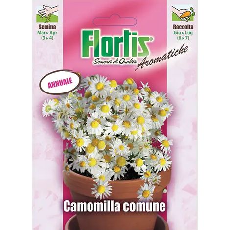 Semi di Camomilla in busta (1/2)