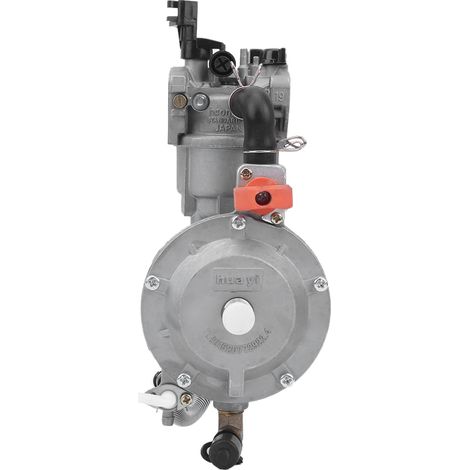 Carburateur pour groupe électrogène essence/gaz naturel 168F 170F, outil moteur tondeuse coupe-herbe essence P19-015 (1/5)