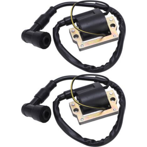 Bobine d'allumage Antirouille Résistant aux Hautes Températures à Faible Consommation de Carburant Bobine d'allumage pour Moto
