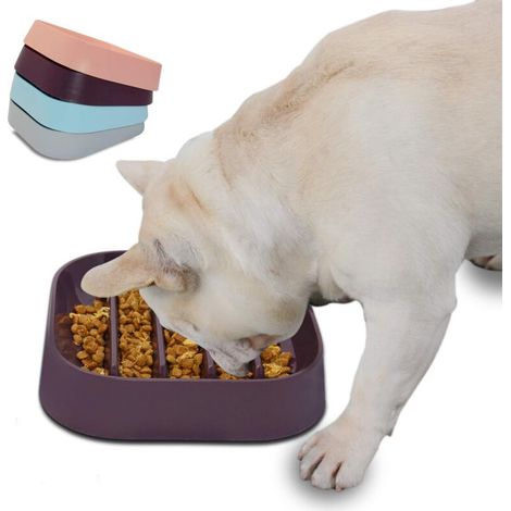 Gamelle à alimentation lente pour chien - Gamelle rayée à alimentation lente pour animaux (1/5)