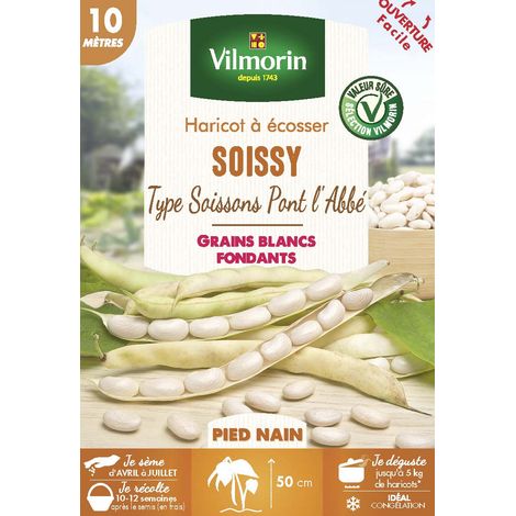 Haricot nain à écosser Soissy 10 m – Gros grains blancs à peau fine – Récolte optimale à maturité – Graines de potager Vilmorin (1/2)