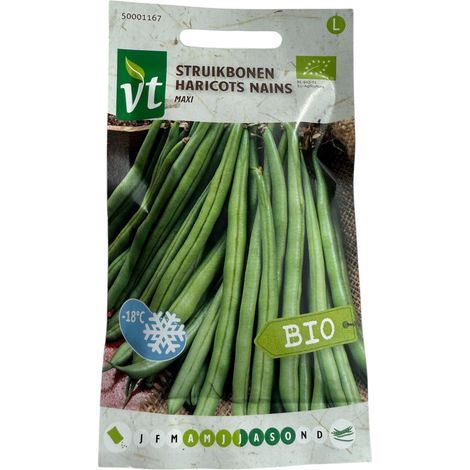 Bio Haricots Nains Maxi - Ca. 25 gr (Livraison Gratuite) (1/2)