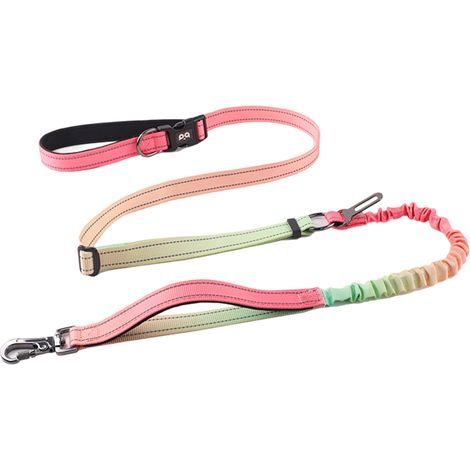 1 ceinture de course pour chien, mains libres, élastique, avec clip de sécurité automobile, bandes réfléchissantes, pour promenades et sauts (1/5)