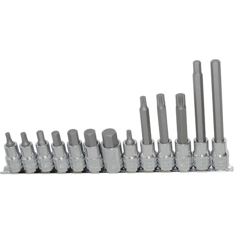 SP TOOLS SP20566 - Rail de douilles tournevis 1/2'' 6 pans et XZN métriques - 13pcs - Cliquets - Douilles - Accessoires - Douilles 1/2''