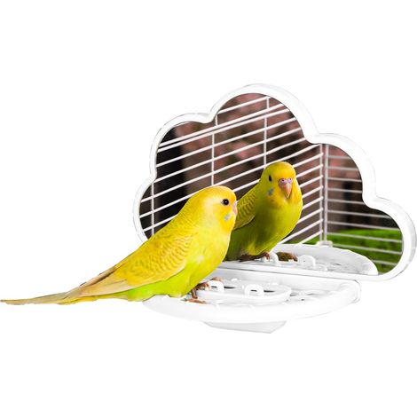 Miroir à Oiseaux avec perchoir, Jouets pour Oiseaux pour perruches, calopsittes, Conures, inséparables, pinsons, canaris (Blanc) (1/4)