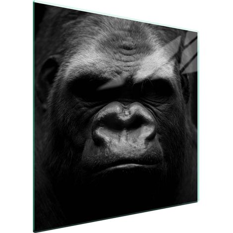 Protezione in vetro per piano cottura 50x52 Gorilla (1/5)
