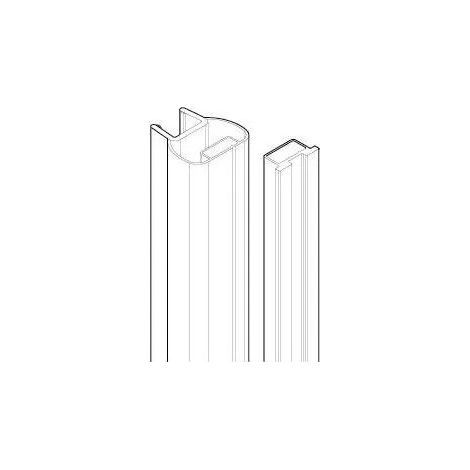 Coppia di magneti BN 01 1BS per YOUNG 2.0 1B