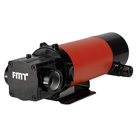 Dieselpumpe 12 V FMT 23404 (1/5)