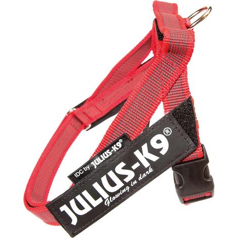 Rosa - Pettorina Julius K9 IDC Color & Gray Belt Harness Tg M misura 0 torace da 58-76 cm peso 14-25 kg (1/5)