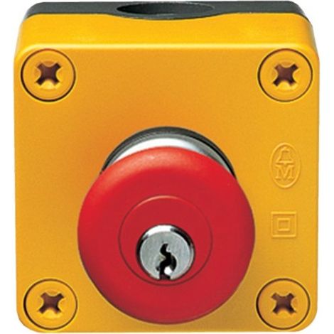 Bouton ATU coup de poing à clé - DISJONCTEURS MULTI. HAGER MZ531N