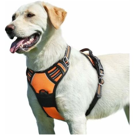 royaluxe-Harnais Anti Traction pour Chien, Harnais Anti Traction pour Chien Réfléchissant Réglable, Facile à Mettre, avec Poignée Contrôle, Arnet pour Chien Respirant, Durable, Harnais pour Chien Moye