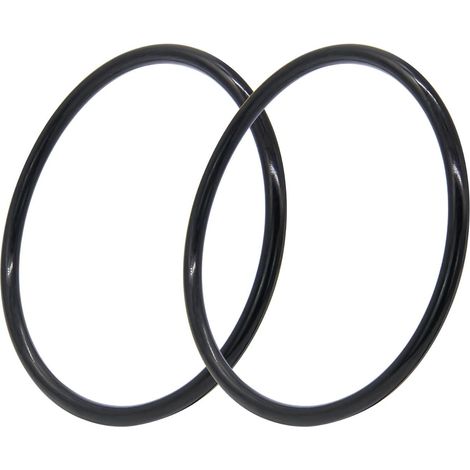 Joint torique R172009 – Remplacement O‑ring pour chlorinateur 300/320 – Lot de 30, étanchéité fiable