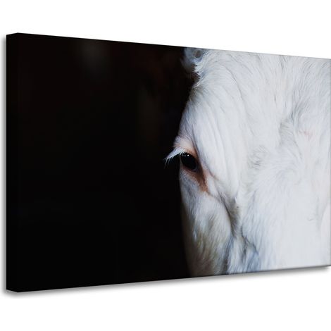 Lienzo impreso con la imagen de un ojo de vaca (90x60 cm).